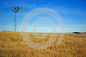 Golden Field Windmill