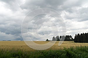 Zlaté polia a plodiny počas zamračenej oblohy. Slovensko