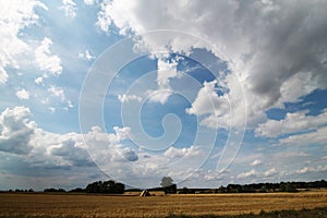 Golden fields and skyscape, sky before storm