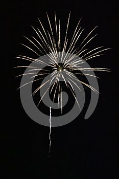 Golden firework burst with a small tail