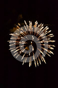 Golden Fireworks photo