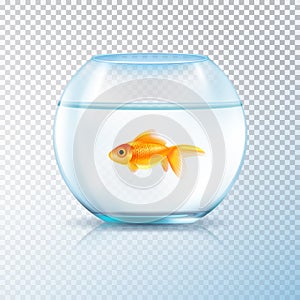 Golden Fish Bowl Realistic Transparent