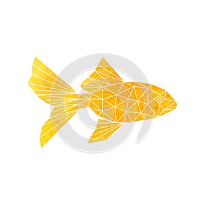 Golden Fish icon