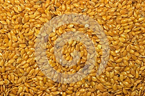 Golden Flax seed Linseed