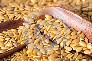 golden flax seed or linseed