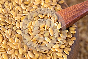 golden flax seed or linseed