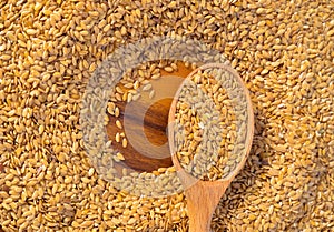 golden flax seed or linseed