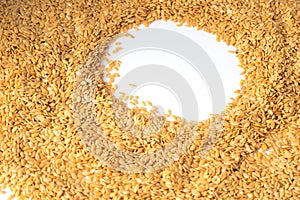 golden flax seed or linseed