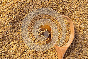 golden flax seed or linseed