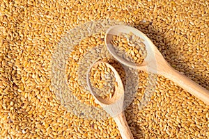 golden flax seed or linseed