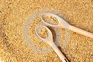 golden flax seed or linseed