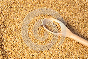 golden flax seed or linseed