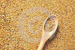 golden flax seed or linseed