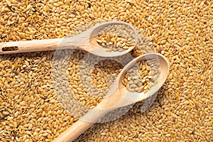 golden flax seed or linseed