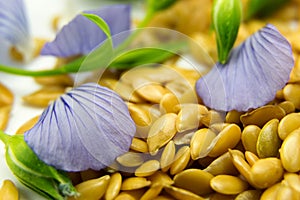 Golden flax seeds with blue flower petals