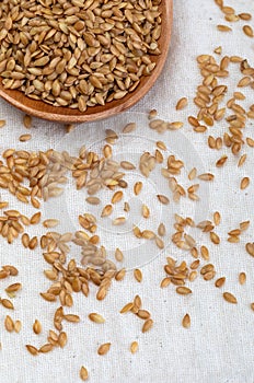 Golden flax seeds. Micronutrient beneficial for the organism that prevents and cures ailments.