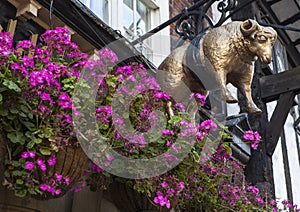 The Golden Fleece Public House in York