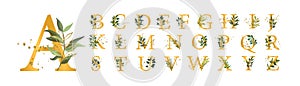 Golden floral alphabet font uppercase letters with flowers leaves gold splatters