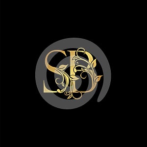 Golden floral letter S and B, SB logo Icon, Luxury alphabet font initial vector design isolated on black background