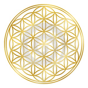 Golden Flower Of Life