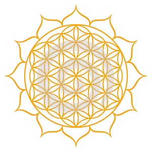 Golden Flower of Life with petals, Sacred Geometry pattern