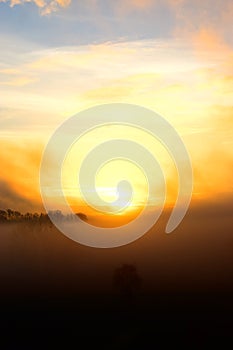 golden fog on TÃ¼rer Wiesen in the Eifel during sunrise