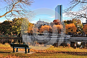 Golden Foliage in Charles River Reservation