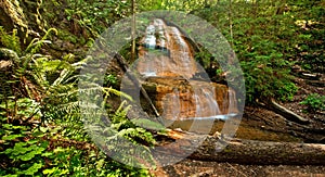 Golden Forest Waterfall