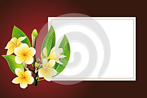 Golden frangipani or plumeria flowers with leaves. Vector invitation Postcard