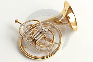 Golden French Horn on White Background