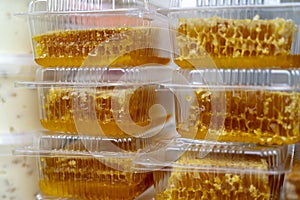 Golden fresh honey comb