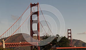 Golden Gate Bridge from Golden Gate Park in the Afternoon