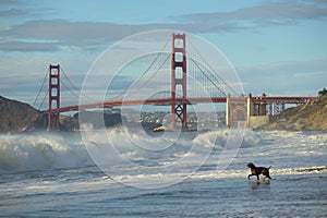 Golden Gate Bridge in San Francisco