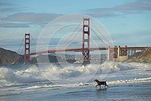 Golden Gate Bridge in San Francisco