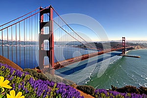 Golden Gate Bridge San Francisco purple flowers California