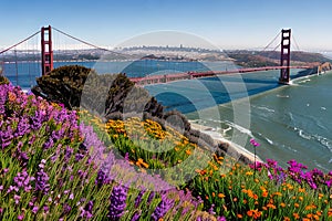 Golden Gate Bridge San Francisco purple flowers California