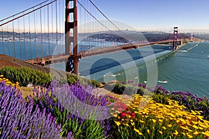 Golden Gate Bridge San Francisco purple flowers California