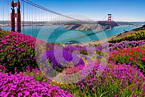 Golden Gate Bridge San Francisco purple flowers California