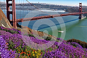 Golden Gate Bridge San Francisco purple flowers California