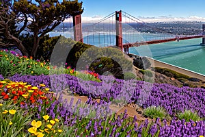 Golden Gate Bridge San Francisco purple flowers California