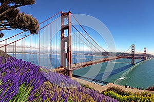 Golden Gate Bridge San Francisco purple flowers California