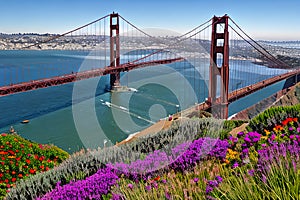 Golden Gate Bridge San Francisco purple flowers California