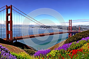 Golden Gate Bridge San Francisco purple flowers California