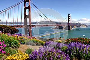 Golden Gate Bridge San Francisco purple flowers California