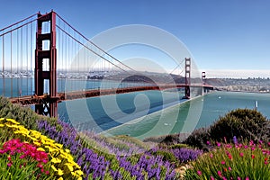 Golden Gate Bridge San Francisco purple flowers California