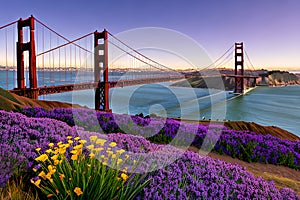 Golden Gate Bridge San Francisco purple flowers California