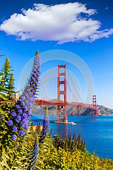 Golden Gate Bridge San Francisco purple flowers California