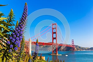 Golden Gate Bridge San Francisco purple flowers California