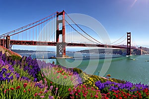 Golden Gate Bridge San Francisco purple flowers California