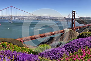 Golden Gate Bridge San Francisco purple flowers California